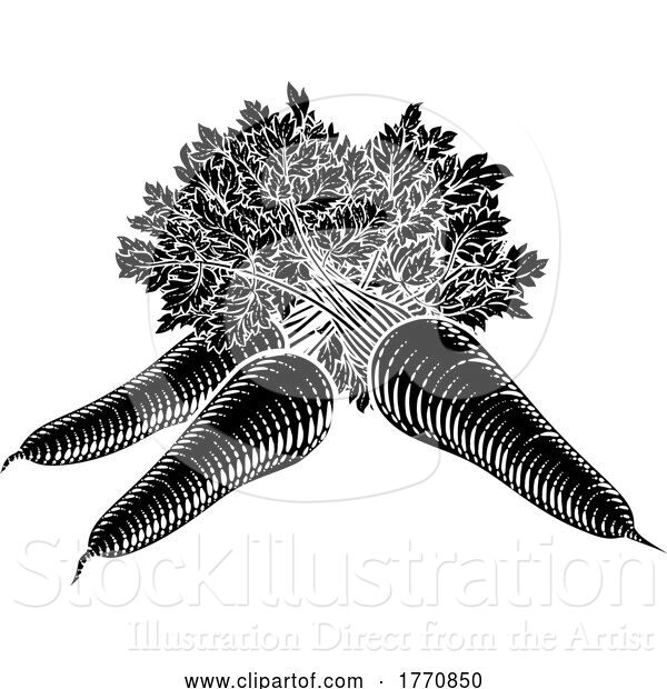 Vector Illustration of Carrots Vegetable Vintage Woodcut Illustration