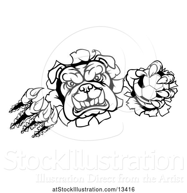 Vector Illustration of Cartoon Black and White Bulldog Monster Shredding Through a Wall with a Soccer Ball in One Hand