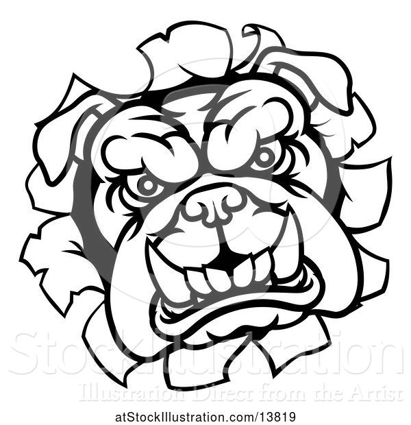 Vector Illustration of Cartoon Black and White Mad Bulldog Breaking Through a Wall