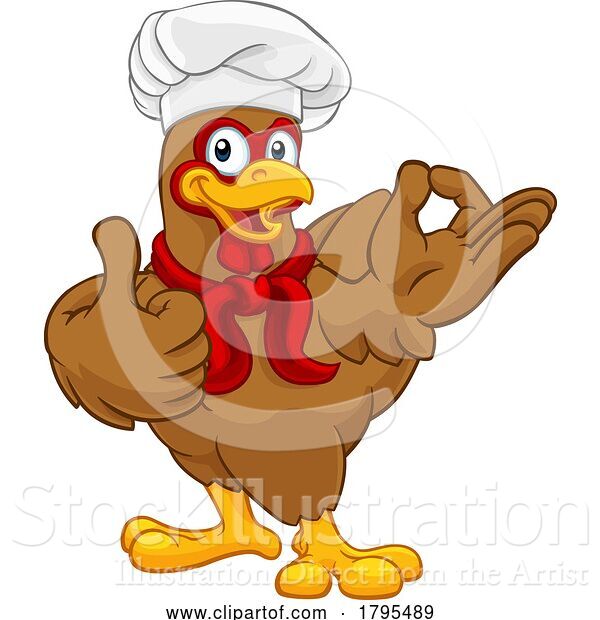 Vector Illustration of Cartoon Chicken Chef Rooster Cockerel Thumbs up Perfect