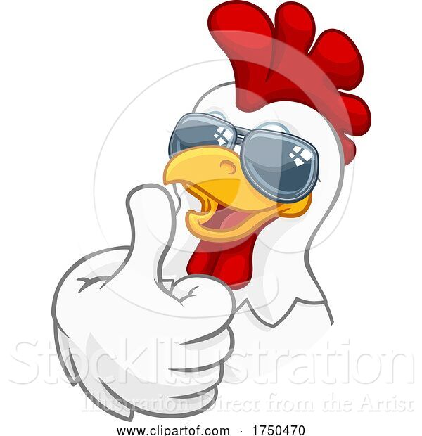 Vector Illustration of Cartoon Chicken Rooster Cockerel Bird Sunglasses Cartoon