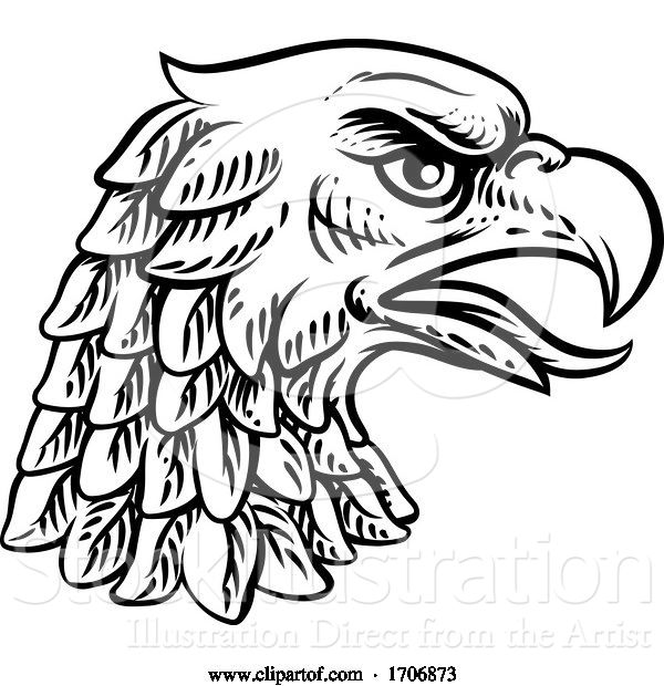 Vector Illustration of Cartoon Eagle Falcon Hawk or Phoenix Head Face Mascot