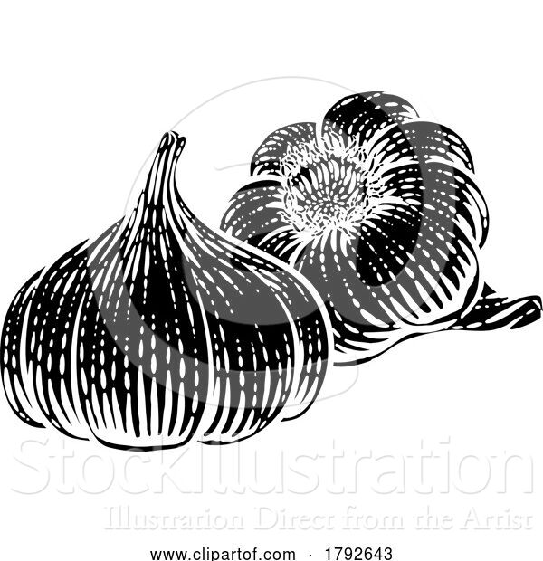 Vector Illustration of Cartoon Garlic