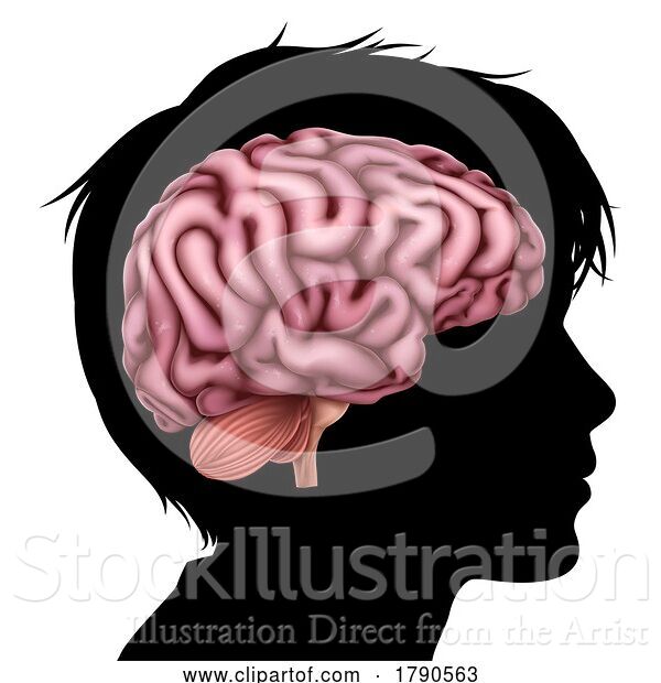 Vector Illustration of Child Kid Head in Silhouette Profile with Brain