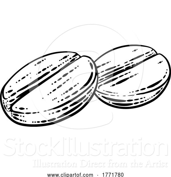 Vector Illustration of Coffee Beans Illustration Vintage Woodcut Style