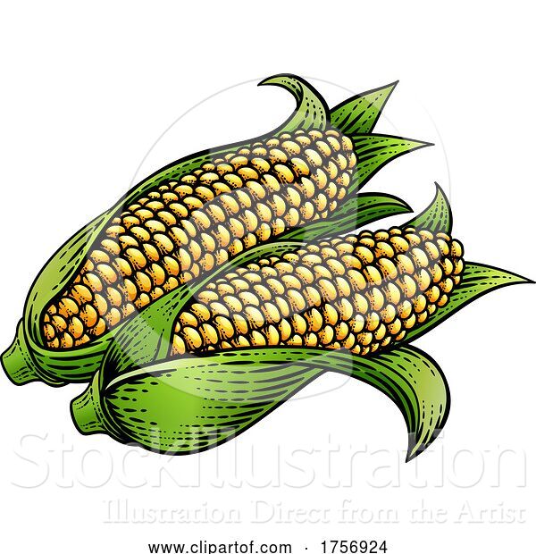 Vector Illustration of Corn Vegetable Vintage Woodcut Illustration