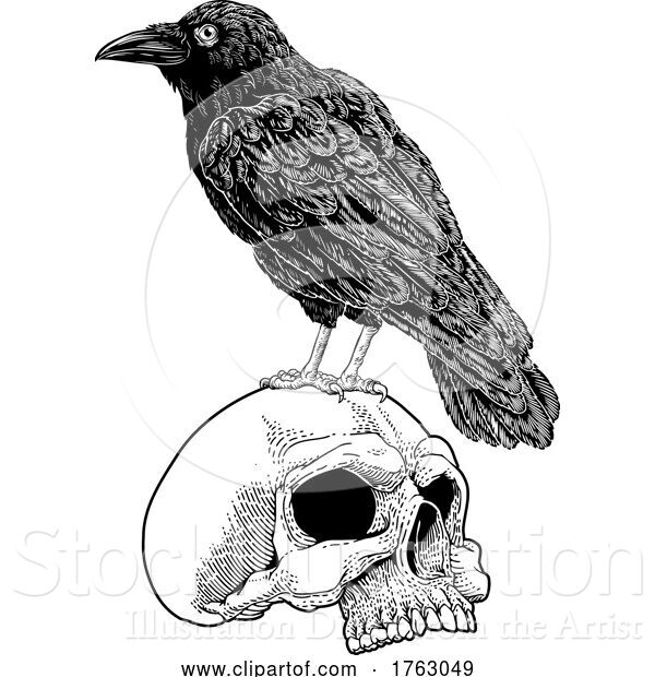 Vector Illustration of Crow Raven Corvus Bird and Skull Vintage Woodcut