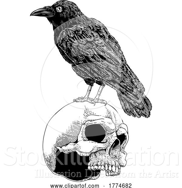 Vector Illustration of Crow Raven Corvus Bird and Skull Vintage Woodcut