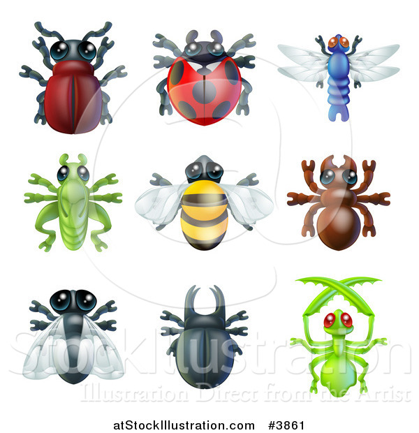 Vector Illustration of Cute Beetles and Other Bugs