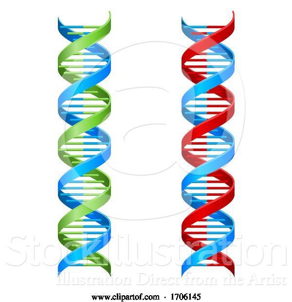 Vector Illustration of DNA Double Helix Molecule Illustration