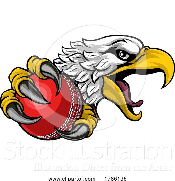 Vector Illustration of Eagle Hawk Cricket Ball Sports Team Mascot