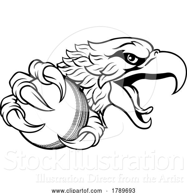 Vector Illustration of Eagle Hawk Cricket Ball Sports Team Mascot
