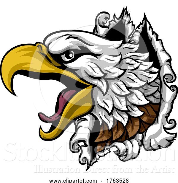 Vector Illustration of Eagle Hawk Face Head Ripping Through Background