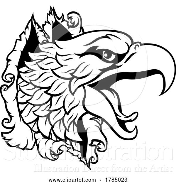 Vector Illustration of Eagle Hawk Face Head Tearing Through Background