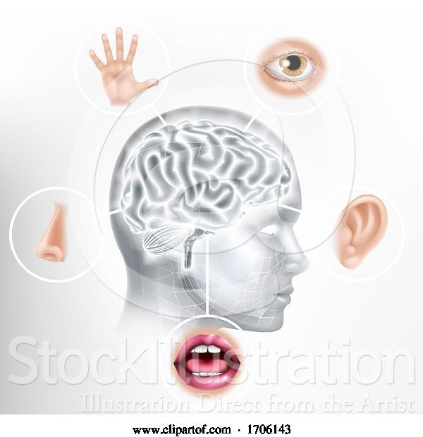 Vector Illustration of Five Senses Human Brain Head Face AI Concept