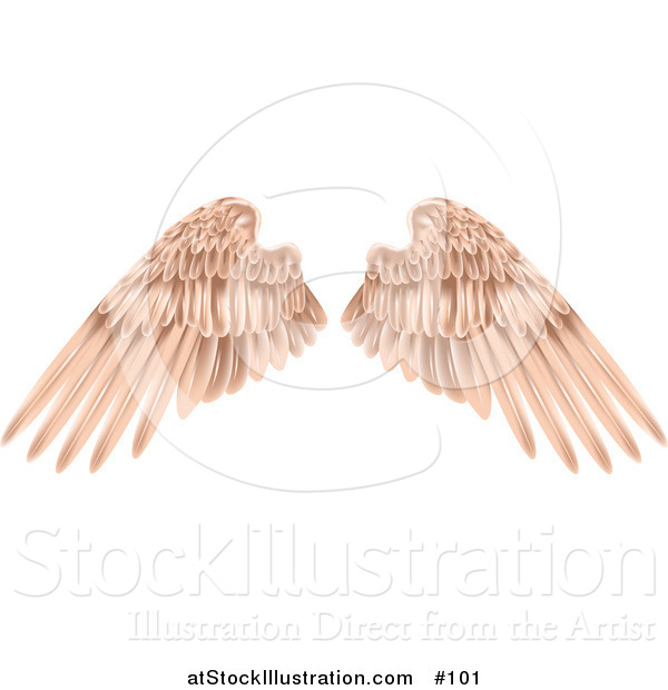 Vector Illustration of Flesh Colored Angel Wings