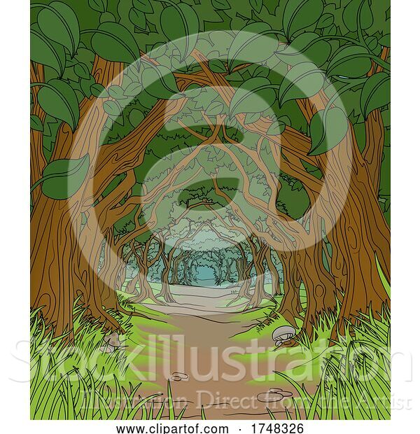 Vector Illustration of Forest Background Fairytale Woodland Trees Tunnel