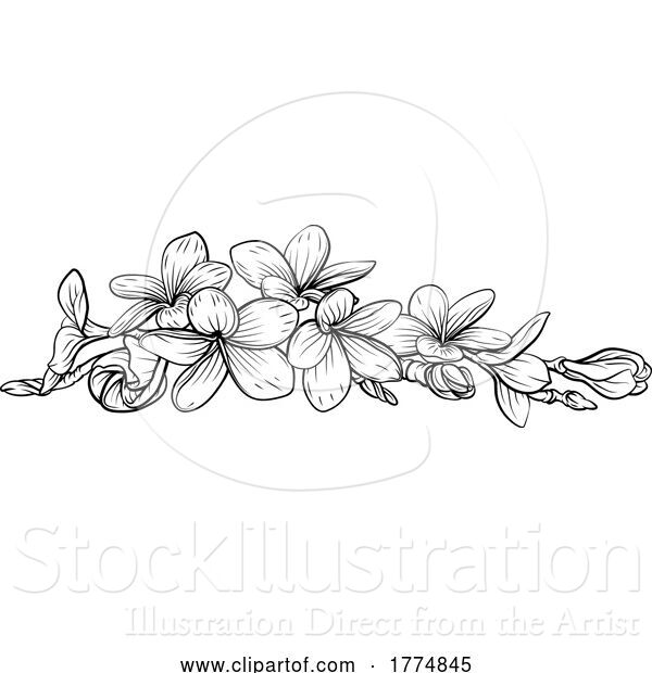 Vector Illustration of Frangipani Plumeria Tropical Bali Floral Flower