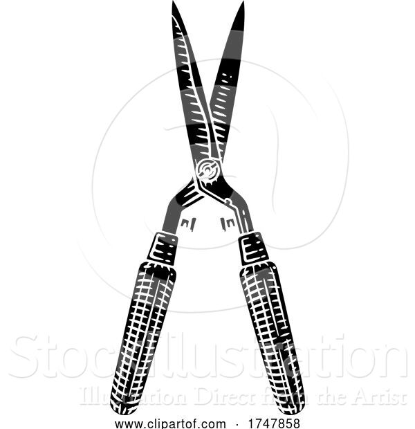 Vector Illustration of Garden Tool Hedge Trimmers Pruning Shears Woodcut