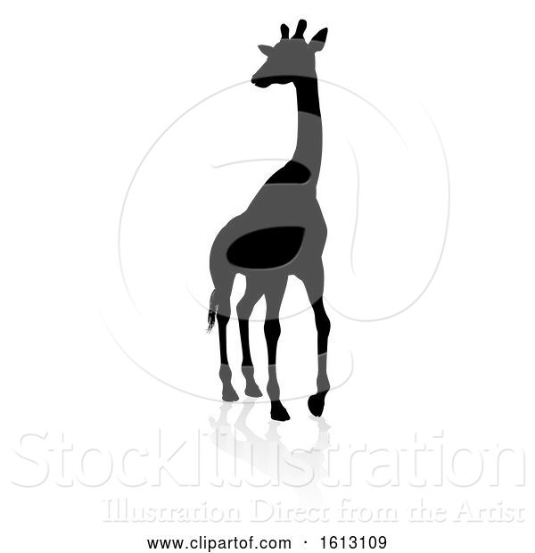 Vector Illustration of Giraffe Safari Animal Silhouette, on a White Background