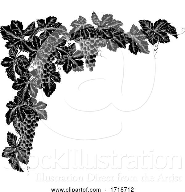 Vector Illustration of Grape Bunches on Vine Corner Border Design Element