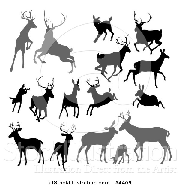 Vector Illustration of Gray and Black Silhouetted Deer Stags Bucks Does and Fawns
