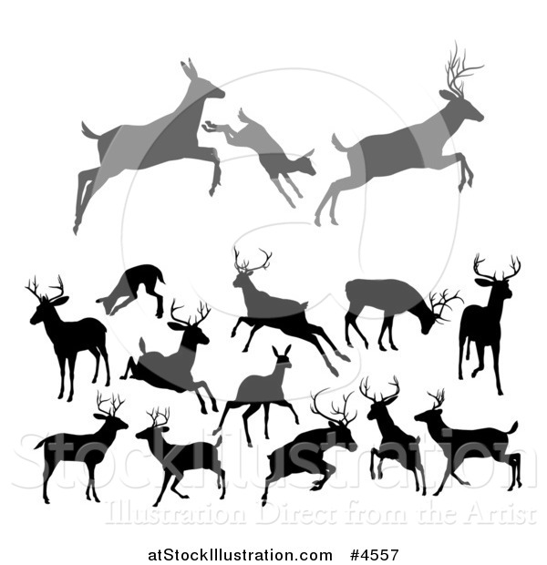 Vector Illustration of Gray and Black Silhouetted Deer Stags Bucks Does and Fawns