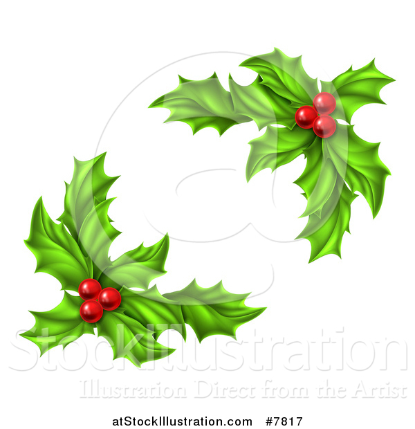 Vector Illustration of Green Holly Leaves and Christmas Berries