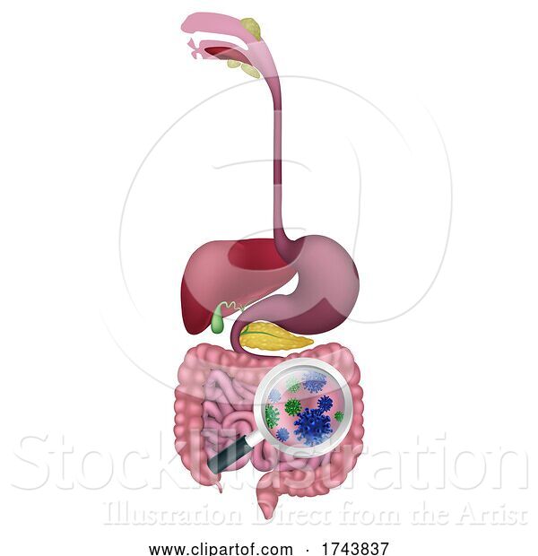 Vector Illustration of Gut Bacteria Intestine Digestive Probiotic Flora