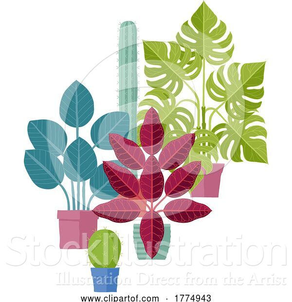 Vector Illustration of House Plants Pots Houseplants Illustration