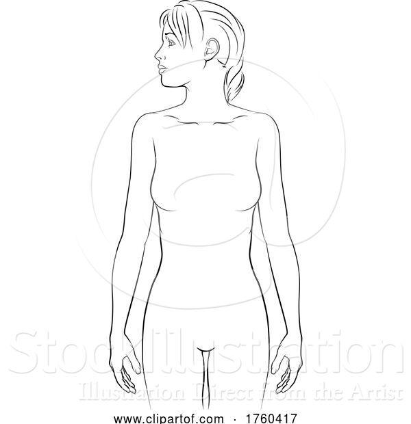 Vector Illustration of Human Physiology Lady Body Anatomy Outline Front
