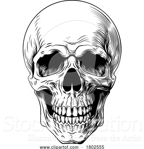 Vector Illustration of Human Skull Woodcut Intaglio Illustration