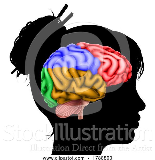 Vector Illustration of Lady Head in Silhouette Profile with Brain Concept