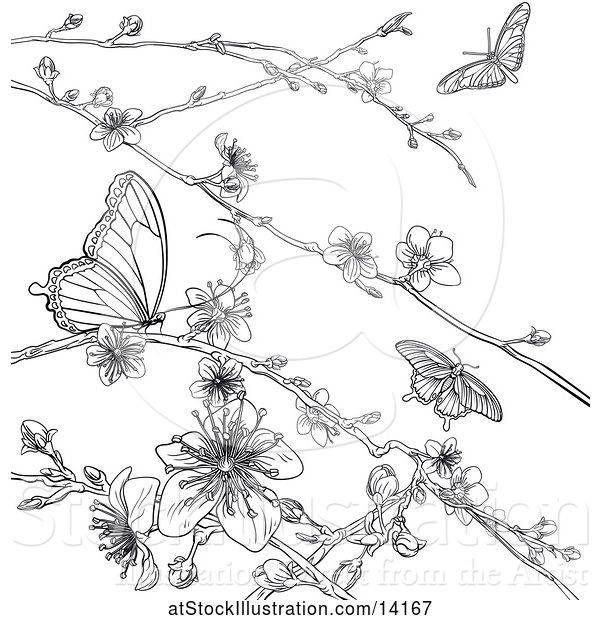 Vector Illustration of Lineart Scene of Cherry Blossoms and Butterflies