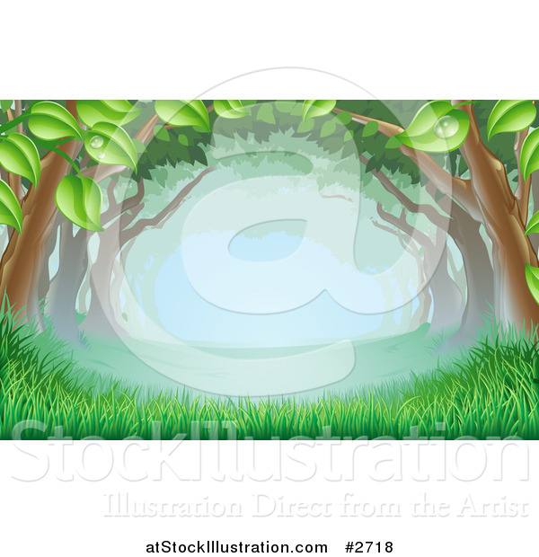 Vector Illustration of Lush Trees Forming a Canopy over Grass in the Woods