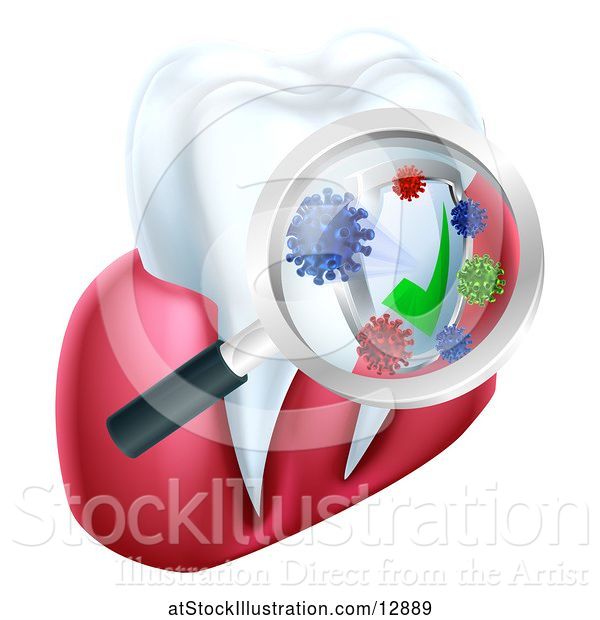 Vector Illustration of Magnifying Glass over a Tooth and Gums, Displaying Bacteria and a Shield