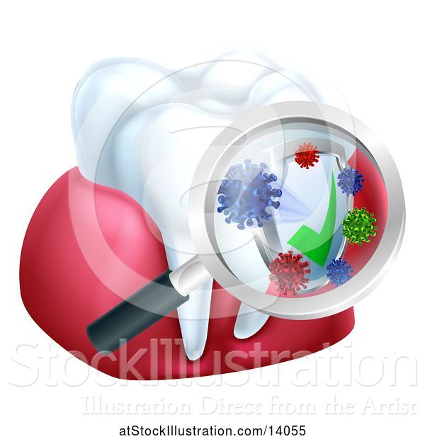 Vector Illustration of Magnifying Glass over a Tooth and Gums, Displaying Bacteria and a Shield