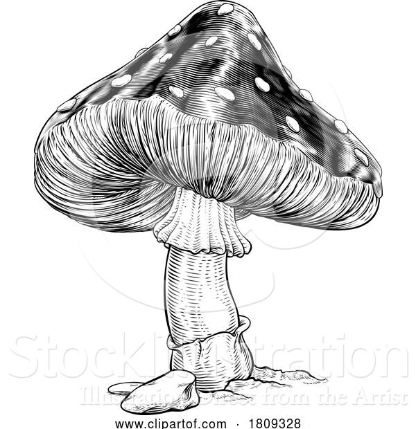 Vector Illustration of Mushroom Toadstool Fly Agaric Amanita Muscaria