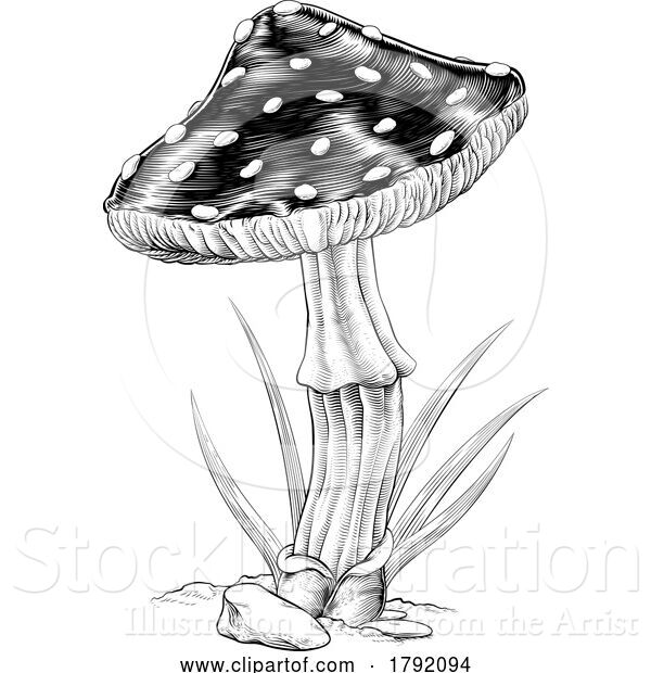 Vector Illustration of Mushroom Toadstool Fungus Vintage Engraved Woodcut
