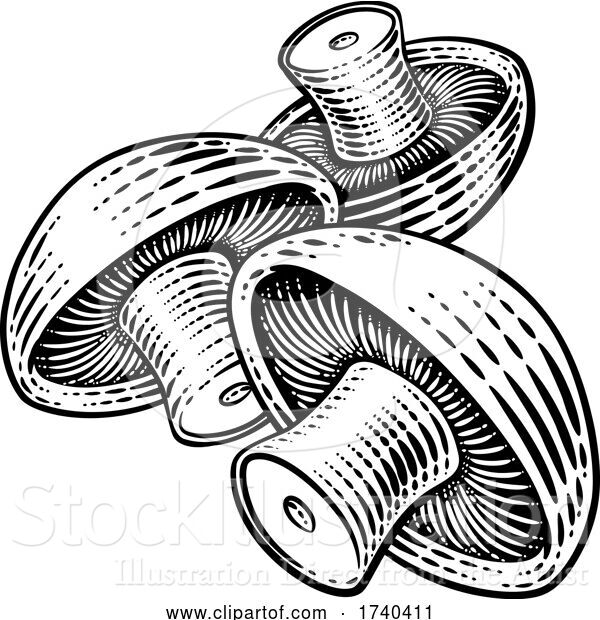 Vector Illustration of Mushroom Vegetable Vintage Woodcut Illustration