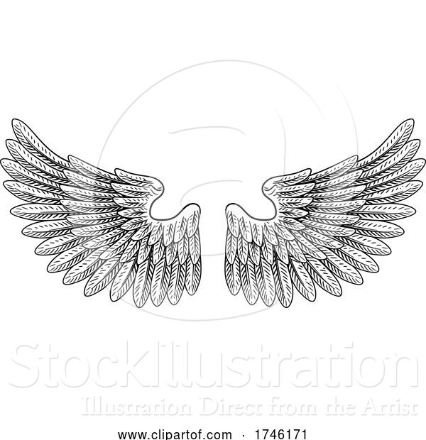 Vector Illustration of Pair of Wings Vintage Engraved Style