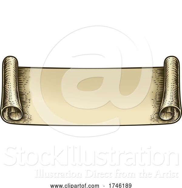 Vector Illustration of Paper Scroll Vintage Woodcut Banner Ribbon Drawing