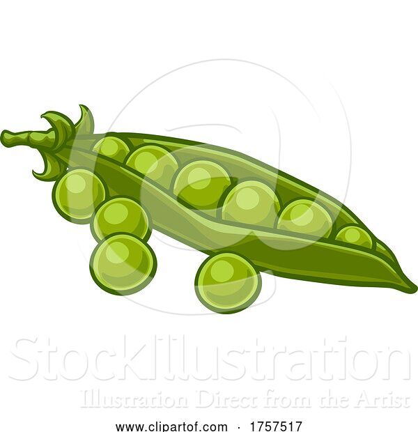 Vector Illustration of Peas Vegetable Illustration