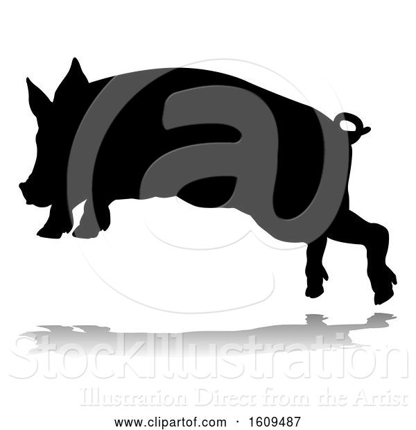 Vector Illustration of Pig Silhouette Farm Animal, with a Reflection or Shadow, on a White Background