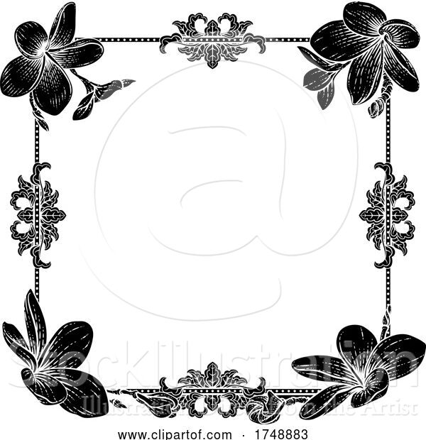 Vector Illustration of Plumeria Frangipani Tropical Flower Funeral Invite