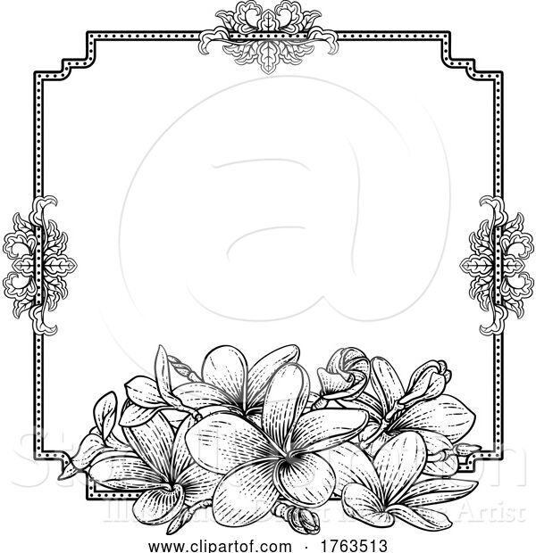 Vector Illustration of Plumeria Frangipani Tropical Flower Funeral Invite
