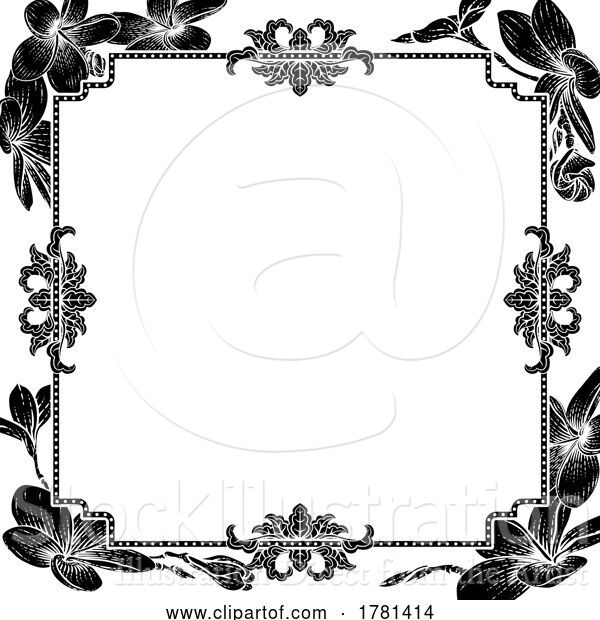 Vector Illustration of Plumeria Frangipani Tropical Flower Funeral Invite
