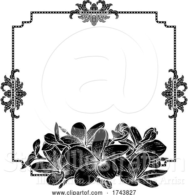 Vector Illustration of Plumeria Frangipani Tropical Flower Wedding Invite