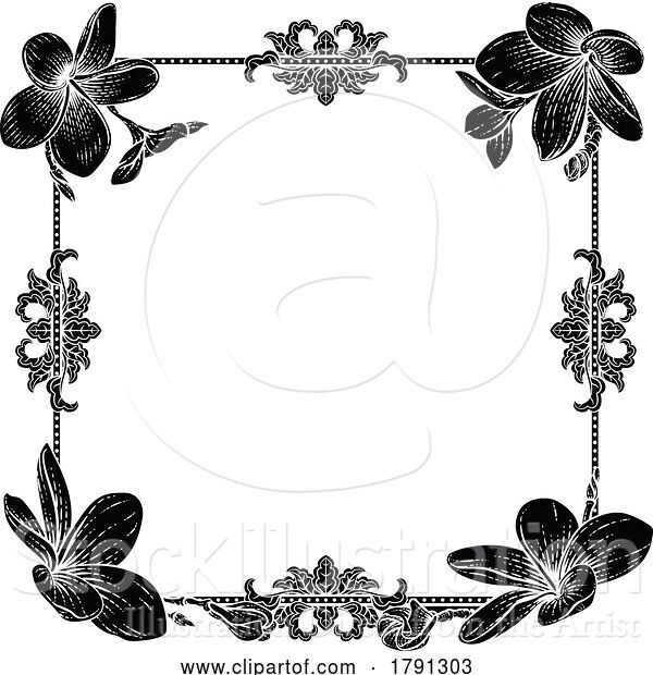 Vector Illustration of Plumeria Tropical Flower Invite