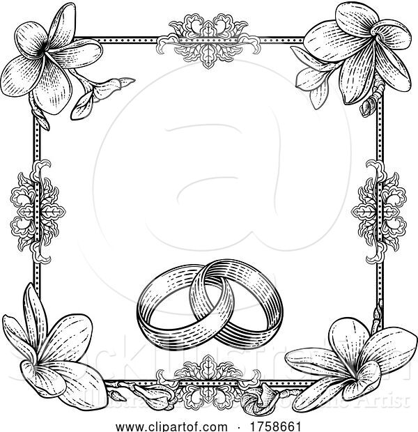 Vector Illustration of Plumeria Tropical Flower Wedding Band Rings Invite